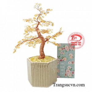 Thạch anh vàng được coi là viên đá của sự thịnh vượng