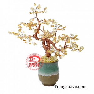 Cây thạch anh vàng thịnh vượng