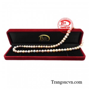 Thanh toán an toàn 