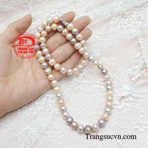 Giao hàng toàn quốc 