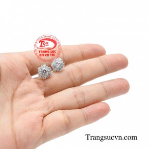 Hoa tai nữ hoàng là lựa chọn hoàn hảo dành cho các bạn nữ