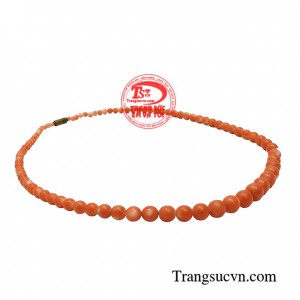 Chuỗi san hô mệnh thổ