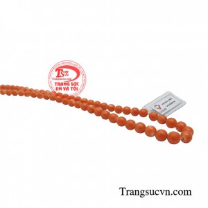 San hô đá mang một ý nghĩa tinh thần và vẻ đẹp của bản thân cao quý