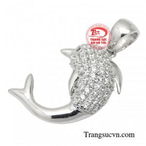 Với sự thân thiện, trí thông minh tuyệt vời, cá heo luôn là người bạn đồng hành của con người. 