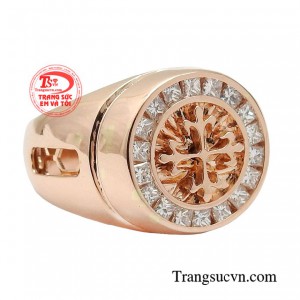 Chiếc nhẫn sẽ là vật đồng hành cùng bạn đi đến đỉnh cao sự nghiệp, dễ dàng vuơn tới đỉnh vinh quang.