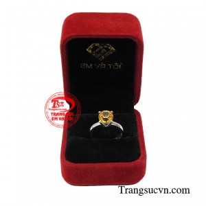 Giao hàng toàn quốc 