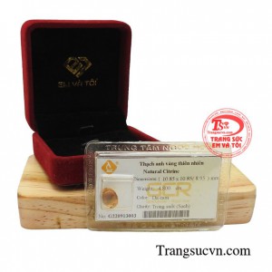 Giúp bạn vượt qua trầm cảm, lo âu, ám ảnh, và lo sợ.