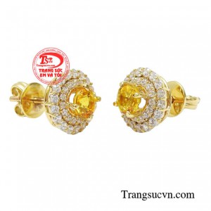 Hình ảnh của chị em cứ thế mà ra sức công phá mọi ánh nhìn. 