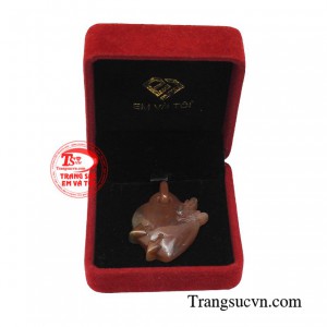 Giao hàng toàn quốc