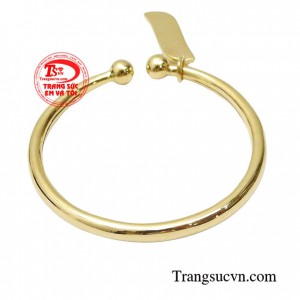 Món quà tặng vào dịp sinh nhật mà còn được tặng trong tiệc thôi nôi truyền thống trong văn hóa Việt Nam