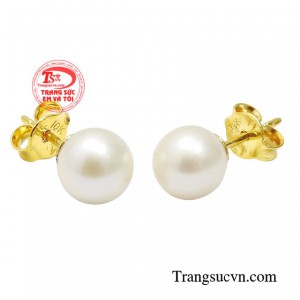 Sản phẩm đảm bảo uy tín chất lượng 