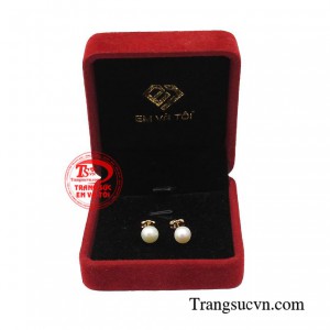 Giao hàng toàn quốc 