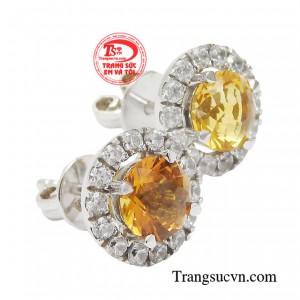 Với màu sắc vàng rực rỡ dễ dàng khiến chị em nổi bật trong mọi bữa tiệc.