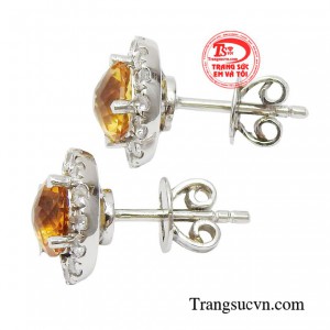 Một đôi bông tai tuy nhỏ bé nhưng gói trọn vẻ đẹp lấp lánh, tỏa sáng và rạng ngời