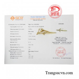 Sản phẩm có giấy kiểm định đá quý 