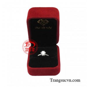 Giao hàng toàn quốc