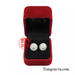 Giao hàng toàn quốc 