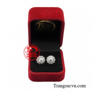 Giao hàng toàn quốc