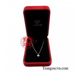 Giao hàng toàn quốc 