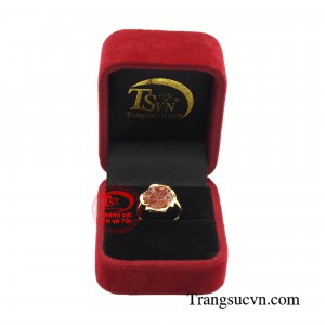 Giao hàng toàn quốc 