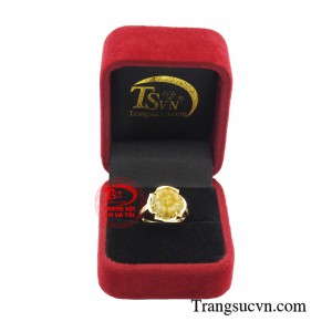 Giao hàng toàn quốc