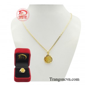 Bên cạnh đó hoa mẫu đơn còn có ý nghĩa cầu chúc mọi việc được diễn ra thuận lợi, suôn sẻ, và phát triển.