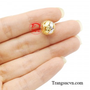 Giao hàng toàn quốc 