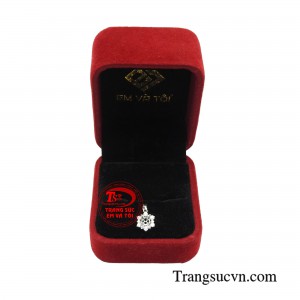 Thanh toán an toàn 