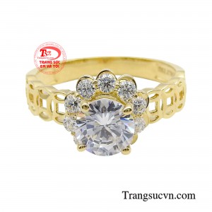 Giúp chủ nhân của tăng thêm sự sang trọng, thời thượng.