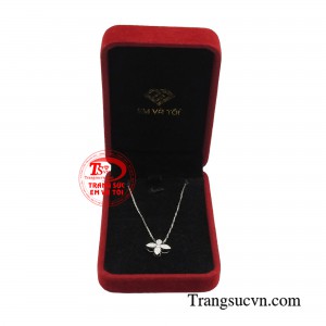 Giao hàng toàn quốc