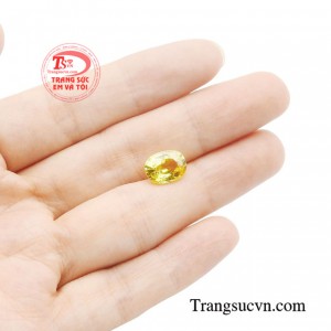 Sản phẩm được thanh toán an toàn.