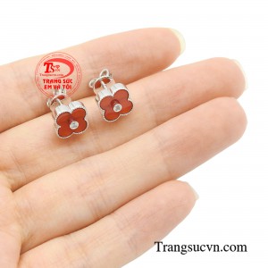 Giao hàng toàn quốc 