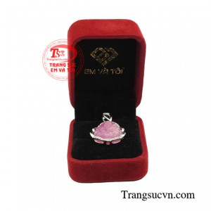 Sản phẩm được giao hàng toàn quốc.