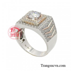 Chiếc nhẫn ngày nay đã trở thành món đồ được đông đảo đấng mày râu, những người thành đạt có địa vị xã hội ưa chuộng.