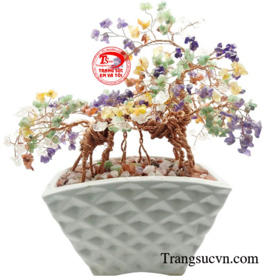Cây đá quý ngũ sắc bonsai