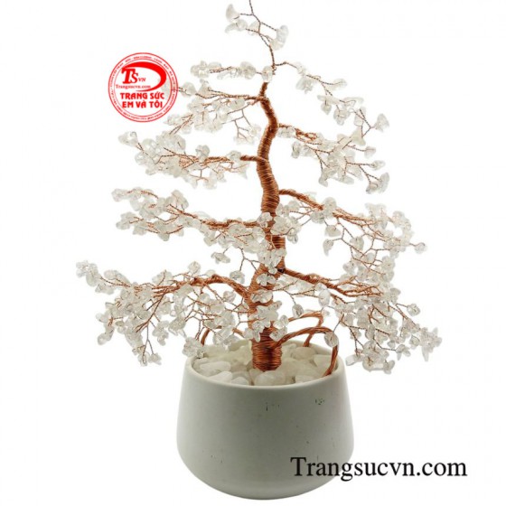 Cây đá quý thạch anh trắng