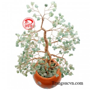 Sản phẩm được giao hàng toàn quốc.