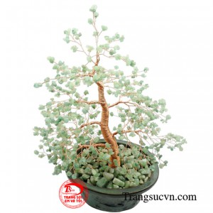 Cây đá quý Aventurine bạn có thể để ở bàn làm việc hoặc trong phòng ngủ giúp bạn ngủ ngon hoặc giảm đau đầu mệt mỏi. 