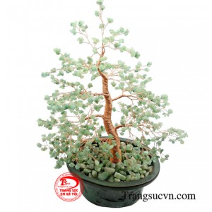 Sản phẩm được giao hàng toàn quốc.