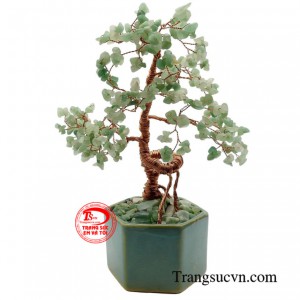 Cây đá quý này có thể trang trí ở phòng khách, phòng làm việc hay cả phòng ngủ có tác dụng giảm căng thẳng, mệt mỏi, lo âu cũng như mang lại tài lộc, may mắn, bình an cho mọi người. 