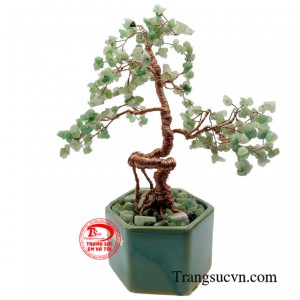 Sản phẩm được thanh toán an toàn.