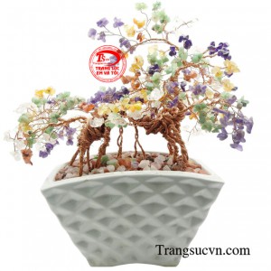 Cây đá quý ngũ sắc bonsai không chỉ là một vật trang trí đẹp mắt mà còn được coi là một biểu tượng của may mắn và tài lộc.