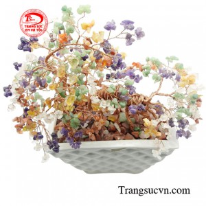 Cây đá quý ngũ sắc bonsai giao hàng tận nơi, thanh toán an toàn.