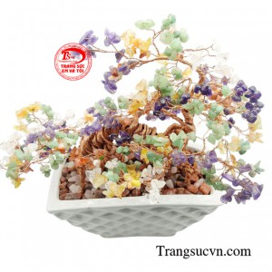 Sản phẩm được giao hàng toàn quốc.