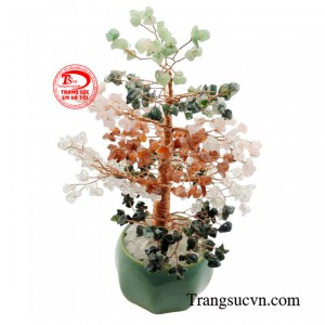 Cây đá quý là món đồ trang trí nội thất sang trọng, mang đến vẻ đẹp độc đáo và ấn tượng cho không gian sống.