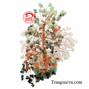 Sản phẩm được giao hàng toàn quốc.