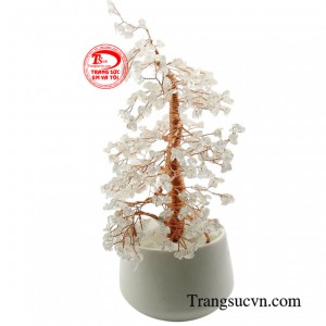 Cây thạch anh trắng là một vật trang trí tuyệt vời, giúp không gian sống trở nên sang trọng, tinh tế và tràn đầy năng lượng tích cực.