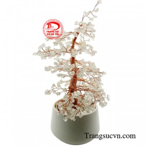 Đá thạch anh trắng được cho là có khả năng hấp thụ và khuếch đại năng lượng tích cực, giúp cân bằng cảm xúc, giảm căng thẳng và mang lại sự bình yên.