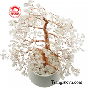 Sản phẩm được giao hàng toàn quốc.