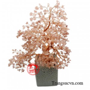 Cây đá thạch anh dâu tây là loại đá có tác dụng cực kỳ lớn đối với sức khỏe của chủ nhân sở hữu bởi tích tụ nguồn năng lượng tích cực giúp xua đuổi những mệt nhọc, căng thẳng và lo âu hàng ngày.